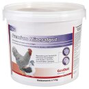 GoldDott cura Premium Mineral Grit - mit sehr hoher...