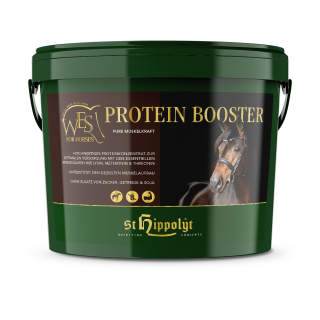 WES Protein Booster - Pure Muskelkraft -  4 Kg Eimer