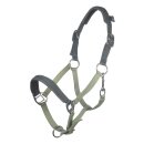 Pferdehalfter - Halfter - BARNIE - Shetty & Pony