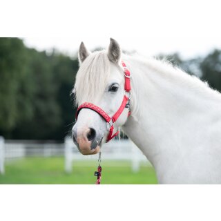 Pferdehalfter - Halfter - AYMEE - rot - Gr. Pony