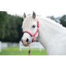Pferdehalfter - Halfter - AYMEE - rot - Gr. Pony