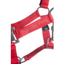 Pferdehalfter - Halfter - AYMEE - rot - Gr. Pony