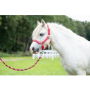 Pferdehalfter - Halfter - AYMEE - rot - Gr. Pony