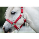 Pferdehalfter - Halfter - AYMEE - rot - Gr. Pony