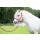 Pferdehalfter - Halfter - AYMEE - rot - Gr. Pony