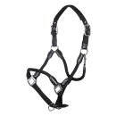 Pferdehalfter - Halfter - CARLOTTA