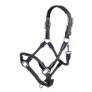 Pferdehalfter - Halfter - CARLOTTA