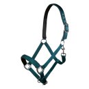 Pferdehalfter - Halfter - CHARMING - Gr. Kaltblut - XXFull