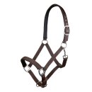 Pferdehalfter - Halfter - CHARMING - Gr. Kaltblut - XXFull