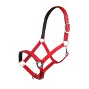 Pferdehalfter - Halfter - CHARMING - Gr. Kaltblut - XXFull