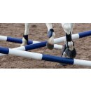 Hindernis-Set aus Kunststoff - Komplettset - Ständer + Standfuß + Stange 2,5m - blau/weiß
