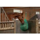 Heunetz mit Ring - grün - Maschenweite 4,5x4,5cm -...