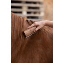 Magic Brush - Fellboy - Fellwechselbürste