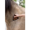 Magic Brush - Triangle - Fellwechselbürste -...