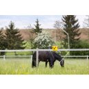 CIT Fliegenfalle FlyCage 6, Deckel, 6 Einsätze, inkl. Lockstoff