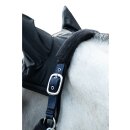 Fliegenschutzmaske Premium - schwarz - Gr. Mini Shetty